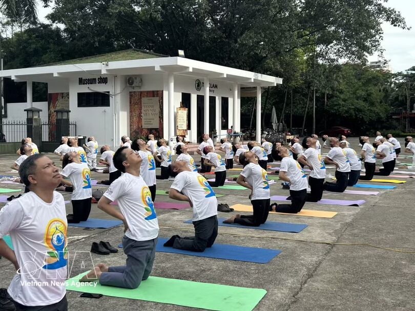 Mass yoga performance celebrates India – Vietnam cultural ties