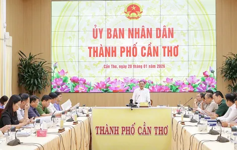 Siết chặt kỷ cương, quyết tâm thi hành dứt điểm các bản án