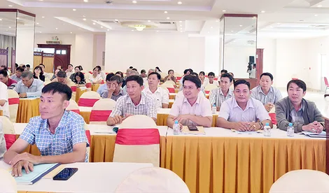 Tập huấn nghiệp vụ, kỹ năng hòa giải ở cơ sở