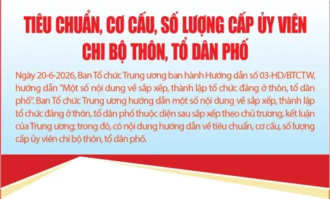 [INFOGRAPHICS] Tiêu chuẩn, cơ cấu, số lượng cấp ủy viên chi bộ thôn, tổ dân phố