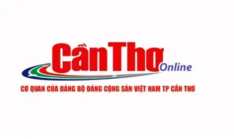 “Vác mai đi đào”