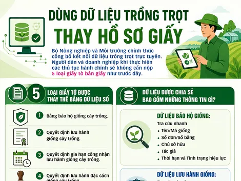 [INFOGRAPHICS] Dùng dữ liệu trồng trọt thay hồ sơ giấy