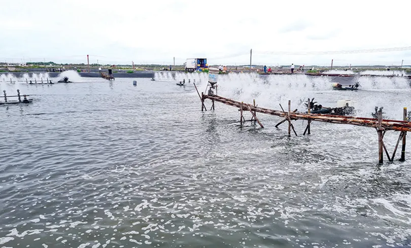 Hướng đến mục tiêu phát triển thủy sản xanh, phát thải thấp