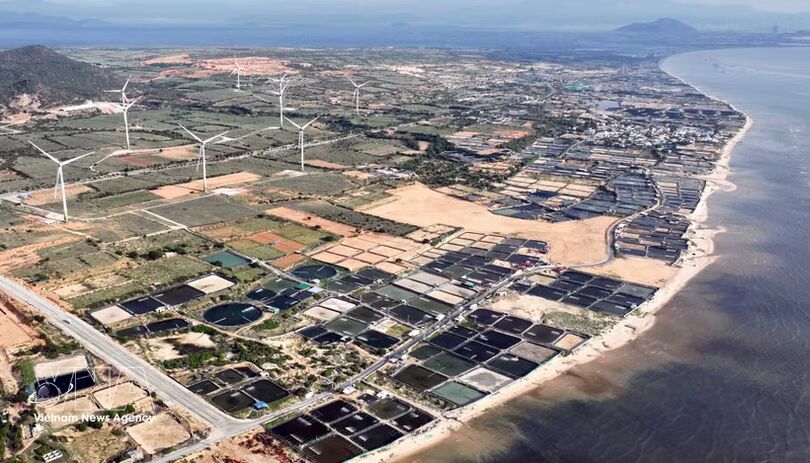 Vietnam needs full-spectrum workforce for nuclear power development: insiders
