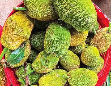Dạo quanh thị trường