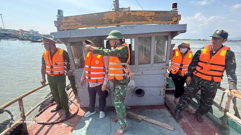 Ho Chi Minh City rolls out digital fishing logs in renewed push against IUU fishing