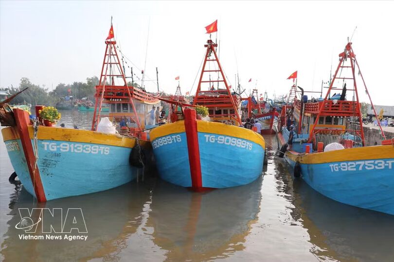 Dong Thap tightens fisheries management to combat IUU fishing