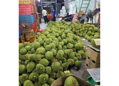 “Giấy thông hành” cho nông sản xuất khẩu