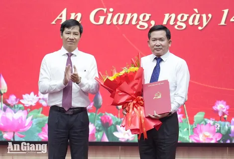 Trung tướng Đinh Văn Nơi giữ chức Phó Bí thư Tỉnh ủy An Giang