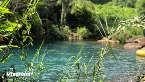 Khám phá Suối Nước Moọc - “ốc đảo xanh” giữa lòng Phong Nha-Kẻ Bàng