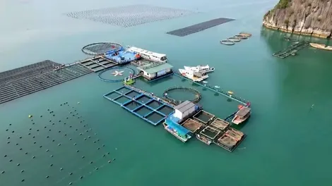 Phát triển kinh tế biển trở thành động lực chiến lược