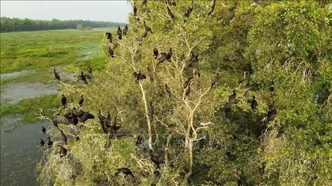 Khám phá nét văn hóa độc đáo giữa "Đồng Tháp Mười thu nhỏ"