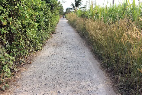 Cần quan tâm nâng cấp, xây dựng đường giao thông nông thôn