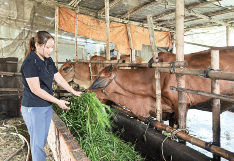 បក្ខ​ជន​ឈាន​មុខក​សាង​ភូមិ​ស្រុក​សម្បូរ​សប្បាយ​និង​ស្រស់​បំព្រង​