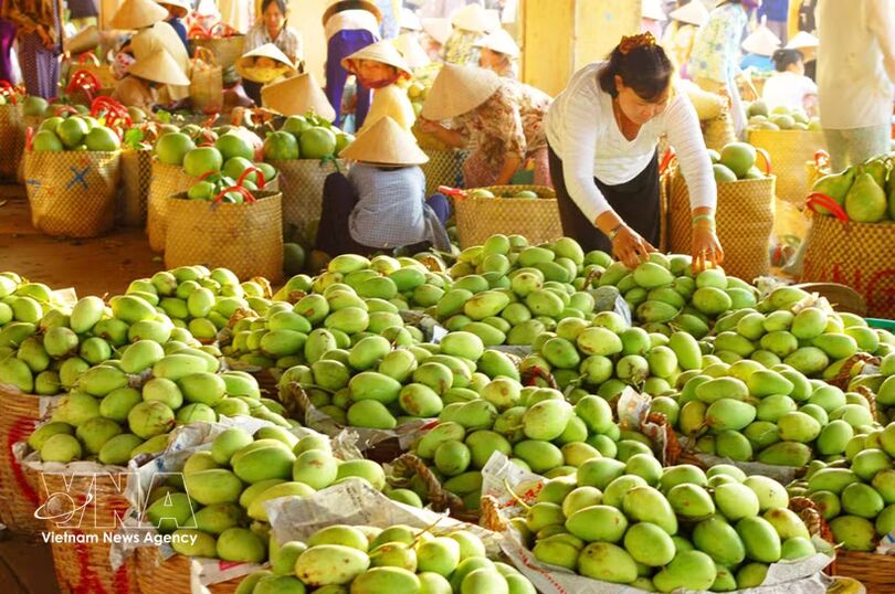 Trade drives growth momentum for Vietnam's economy in seven months