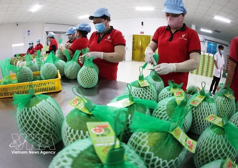 Vietnam races to achieve 74-billion-USD target from agro-forestry-aquatic exports