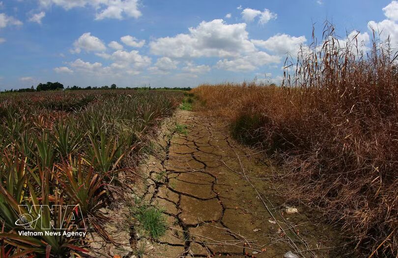 Government adopts action programme on environmental protection, climate resilience