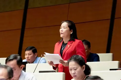 Bà Lê Thị Thanh Lam, Phó Trưởng đoàn chuyên trách Đoàn Đại biểu Quốc hội TP Cần Thơ, góp ý dự thảo Luật Phòng, chống phổ biến vũ khí hủy diệt hàng loạt