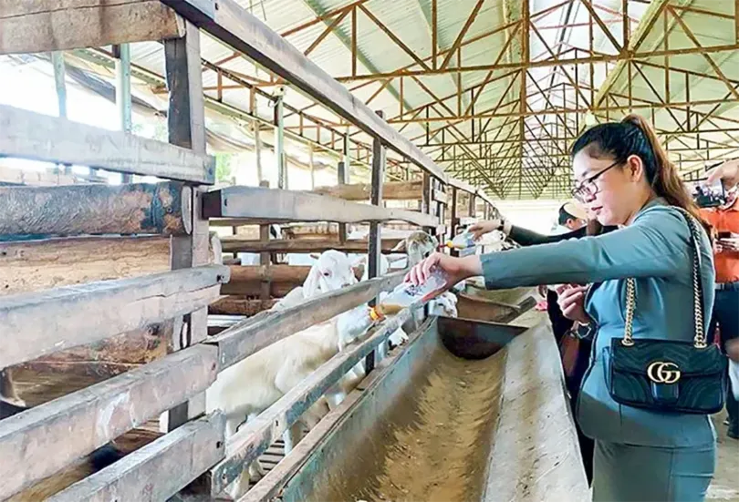 Dual benefits of agritourism