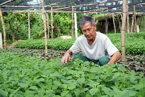 Xây dựng nền tảng kinh tế vững mạnh để bảo vệ vững chắc nền tảng tư tưởng