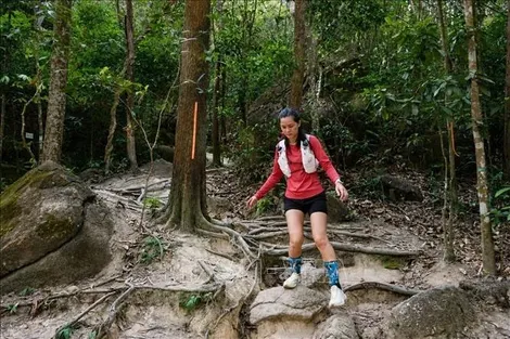 Du lịch nghỉ lễ: Sức hút từ mạng xã hội và rủi ro tiềm ẩn khi mua tour tự phát