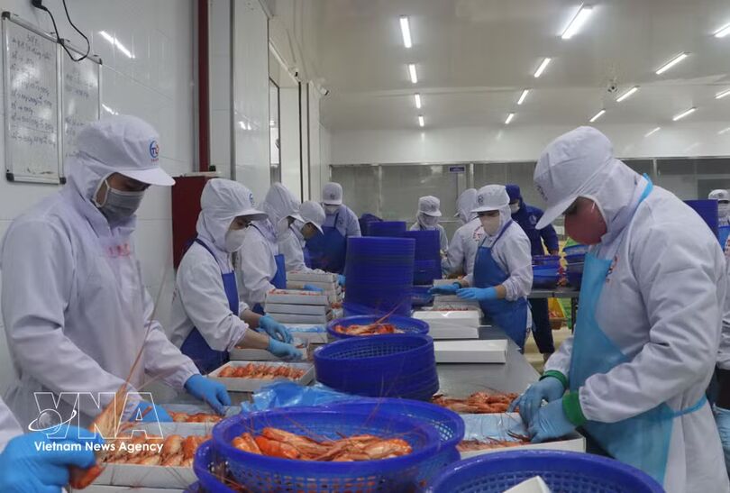 Vietnam's economy expected to grow 11% in 2027