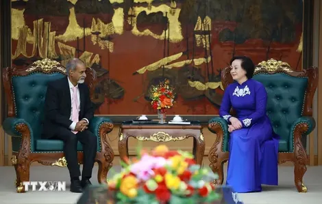 Việt Nam cam kết là thành viên tích cực trong các hoạt động toàn cầu về trẻ em