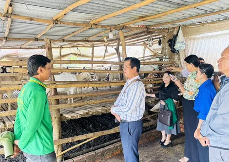 Tân Thạnh phát huy thế mạnh nông nghiệp