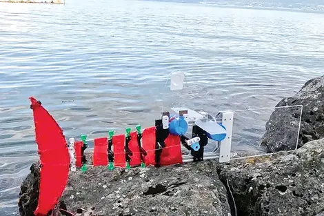 Robot cá với nhiều ứng dụng hữu ích trong môi trường nước