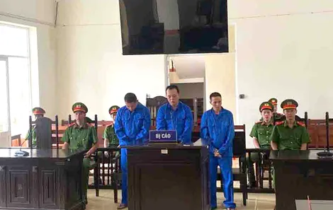Mua bán và tổ chức sử dụng trái phép chất ma túy, 3 bị cáo lãnh án tù