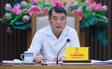 Thủ tướng Lê Minh Hưng: Cần đổi mới thực chất hệ thống phân phối xăng dầu