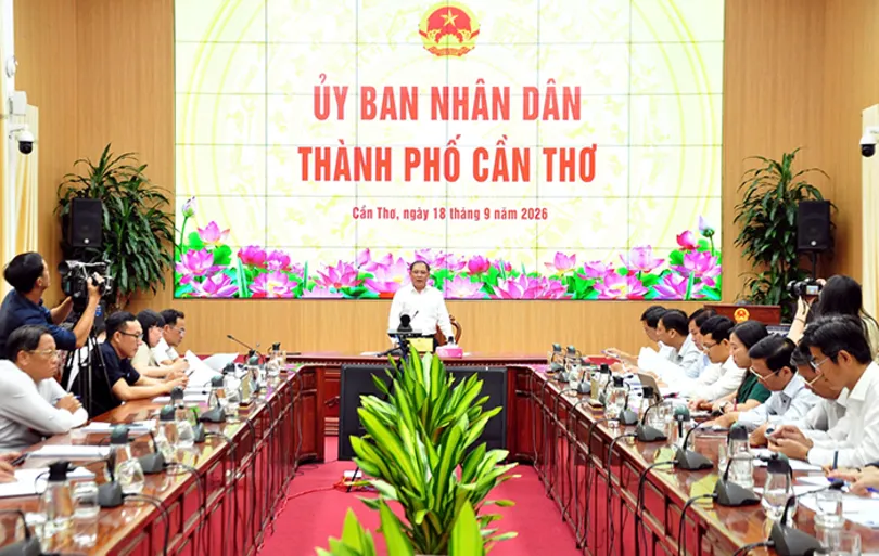 Tập trung chuẩn bị Festival Quốc tế Ngành hàng Lúa gạo Việt Nam lần thứ II - Cần Thơ năm 2026