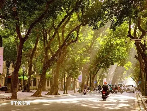 Thời tiết ngày 1/10: Bắc Bộ và Trung Bộ ngày nắng, Nam Bộ có mưa dông