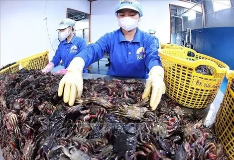 Thúc đẩy phát triển kinh tế nhà nước, kinh tế tư nhân và ứng dụng KHCN