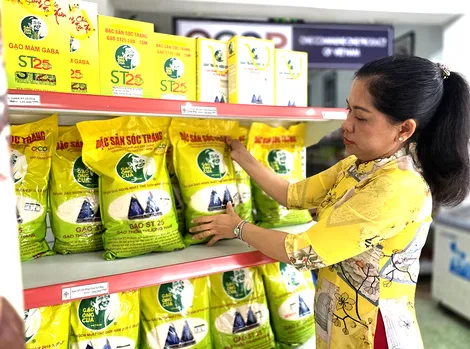 Hình thành hệ sinh thái hỗ trợ toàn diện chuỗi giá trị tài sản trí tuệ