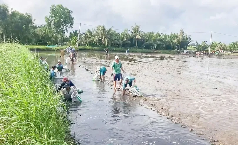 Dựa vào thiên nhiên thích ứng biến đổi khí hậu